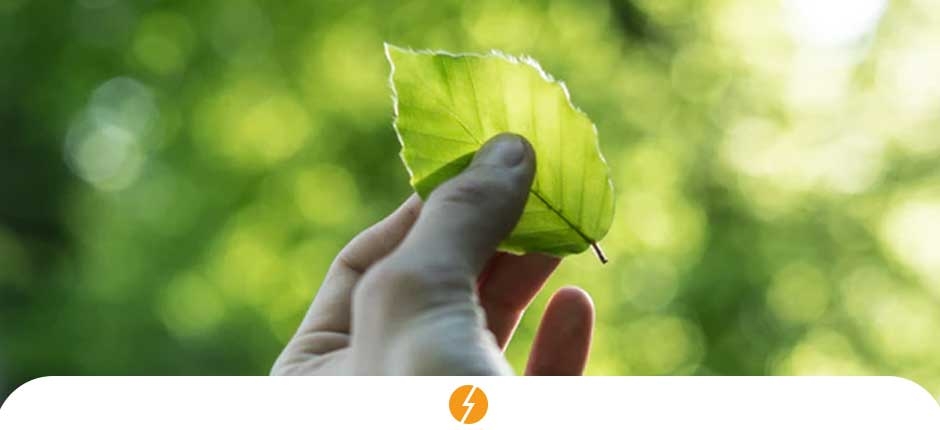 mão de uma pessoa com uma pequena folha na mão simbolizando os benefícios da energia solar diante dos impactos ambientais
