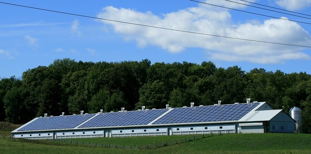 diversos painéis de energia solar em um grande galpão na fazenda fazendo uso da energia limpa