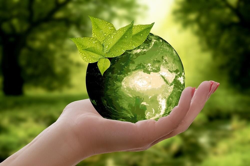 mão de uma pessoa segurando uma bola redonda que simboliza um planeta verde e sustentável, ao fundo uma mata
