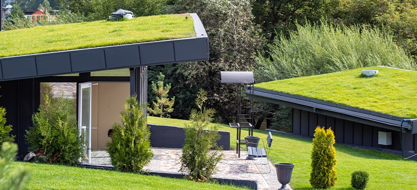 casa com gramado no telhado
