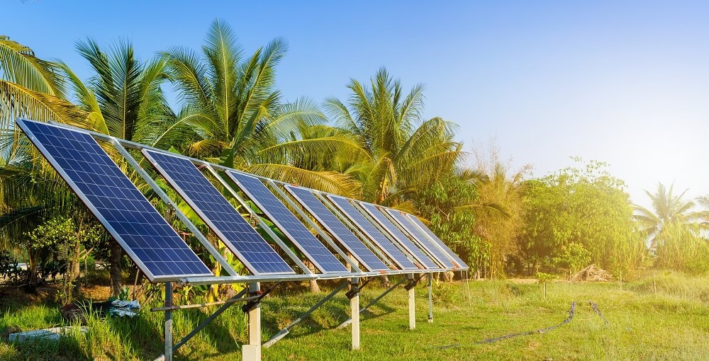 Energia solar agronegócio