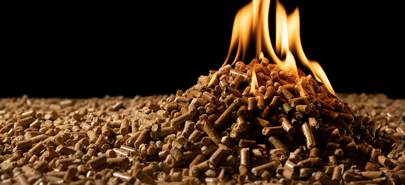 co-combustão do material orgânico de biomassa