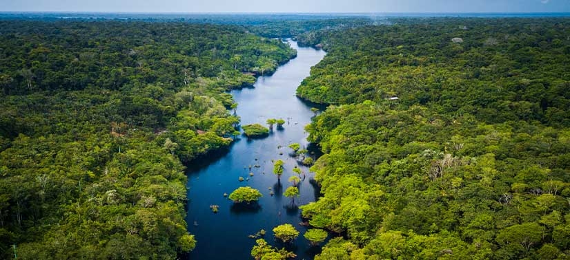 biodiversidade