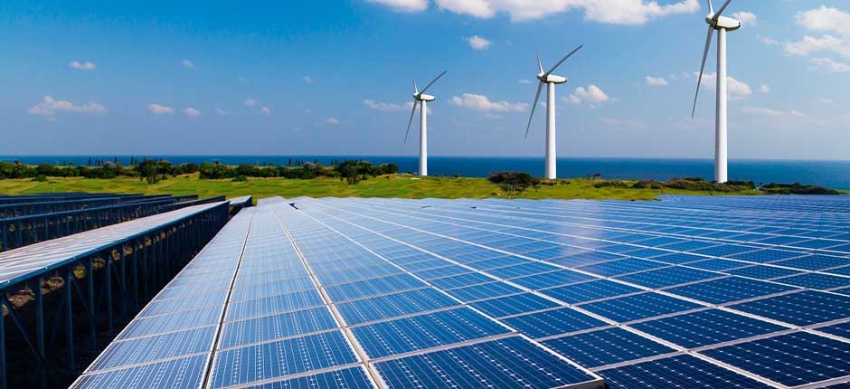 RESULTADO DOS LEILÕES FICA ABAIXO DO ESPERADO, AVALIAM ASSOCIAÇÕES