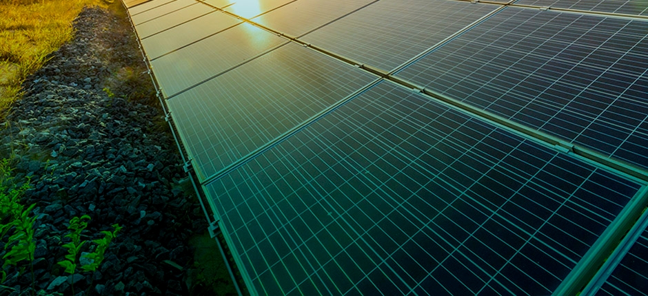 COM FOCO EM PRODUTORES RURAIS, SUN MINAS ENERGIA SOLAR PREVÊ DOBRAR FATURAMENTO EM 2021