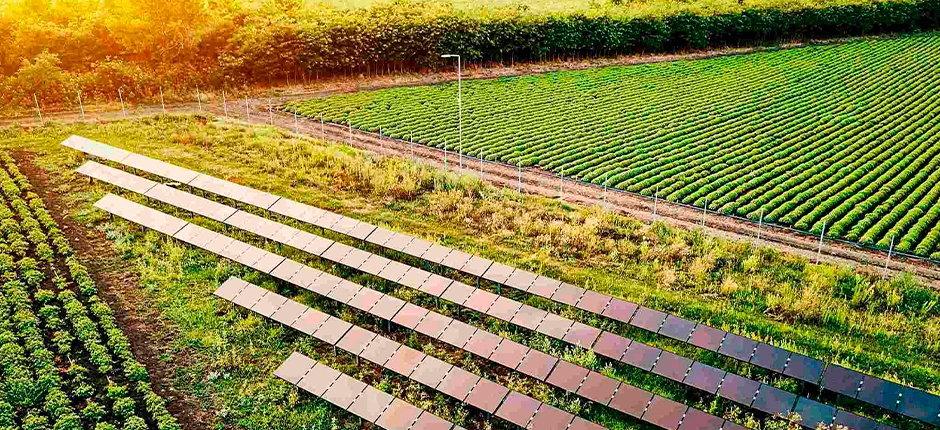 FRENTE PARLAMENTAR DA AGROPECUÁRIA APOIA PROJETO DE LEI DA GERAÇÃO DISTRIBUÍDA