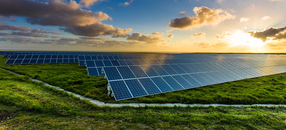 GLOBAL SOLAR COUNCIL PREVÊ ANO TRANSFORMADOR PARA FONTE SOLAR EM 2021