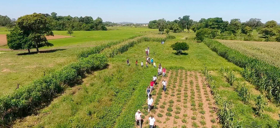 ENERGIA SOLAR TRAZ ECONOMIA E PRODUTIVIDADE AOS AGRICULTORES DE SANTA CATARINA
