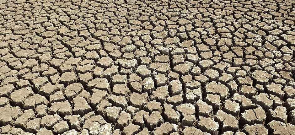 SERA-QUE-ALGUM-DIA-O-MAR-VIRA-SERTAO