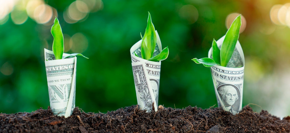 MERCADO GLOBAL DE CRÉDITO DE CARBONO CARECE DE APRIMORAMENTO DE REGRAS PARA DESLANCHAR