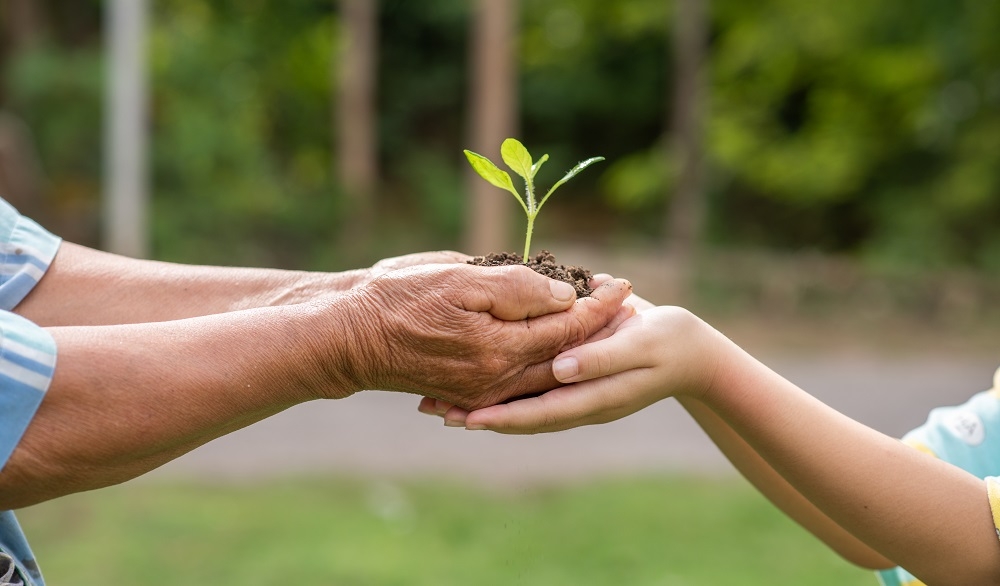 uma pessoa passando para outra um pequeno broto com terra, simbolizando o cuidado com o meio ambiente e a importância da sustentabilidade