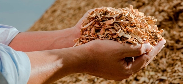 par de mãos segurando um punhado de lascas de madeira e ao fundo uma pilha de lascas