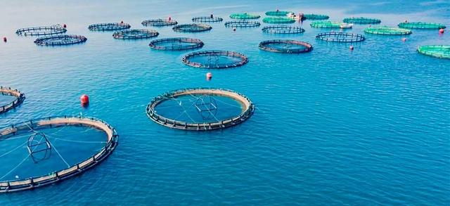 aquicultura-com-energia-solar