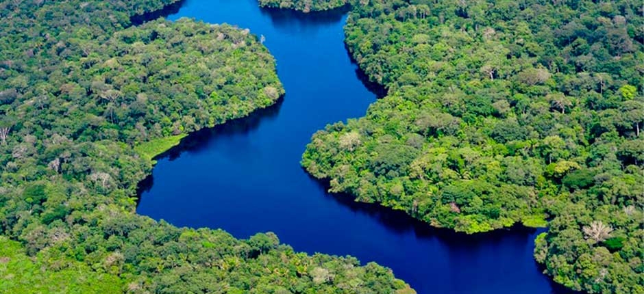 GOVERNO-FEDERAL-ESTABELECE-A-CRIACAO-DO-MERCADO-REGULADO-DE-CARBONO