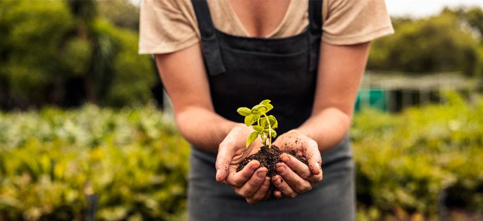 agricultura-sustentavel-o-que-e-como-funciona-importancia-exemplos-e-como-promover