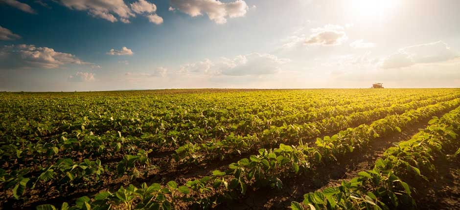 FAZENDA-NA-BAHIA-DOBRA-PRODUCAO-DE-SOJA-COM-ENERGIA-SOLAR