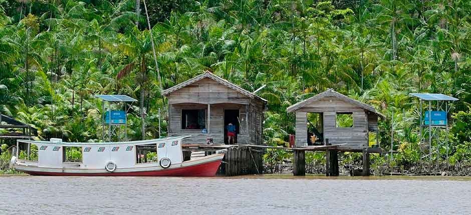 ENERGIA-SOLAR-LEVARA-ELETRICIDADE-PARA-30-MIL-CONSUMIDORES-NO-PARA