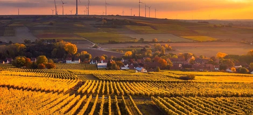 MCTI FARÁ PROJETO PARA 5° COMUNICAÇÃO NACIONAL DO BRASIL À CONVENÇÃO DO CLIMA