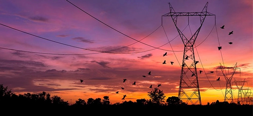 ANEEL CONFIRMA DATA DO LEILÃO 01/2023 E ESPERA R$ 15,7 BILHÕES EM INVESTIMENTOS