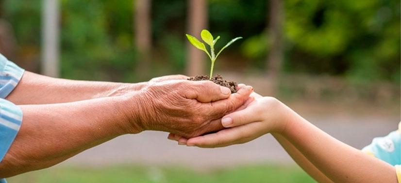 sustentabilidade