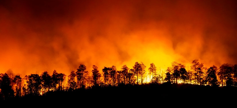 floresta pegando fogo a noite e deixando o céu muito alaranjado