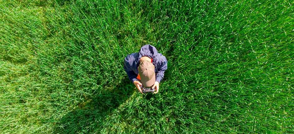 ITÁLIA LANÇA DRONES MOVIDOS COM ENERGIA SOLAR