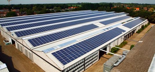 AVICULTURA ENCONTRA NA ENERGIA SOLAR A SOLUÇÃO PARA ECONOMIA ENERGÉTICA NAS GRANJAS