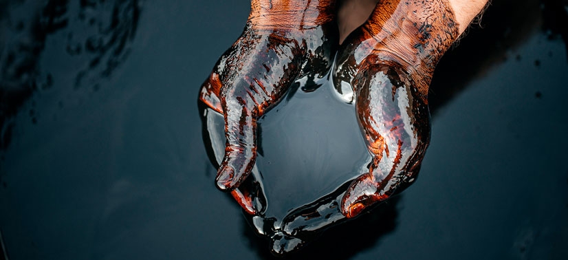 uma pessoa com as suas mãos cheia de petróleo após ter mergulhado elas em um barril