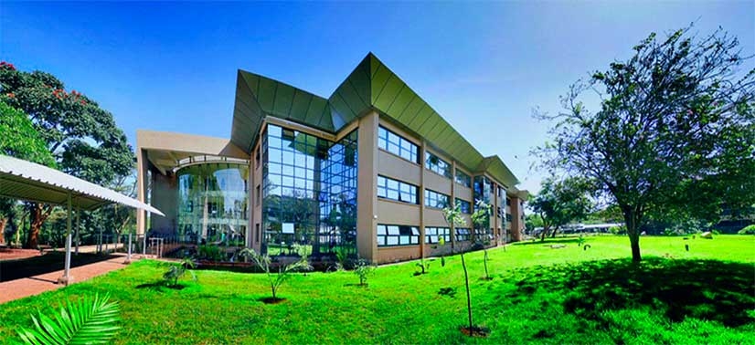 Programa das Nações Unidas para o Meio Ambiente (PNUMA)