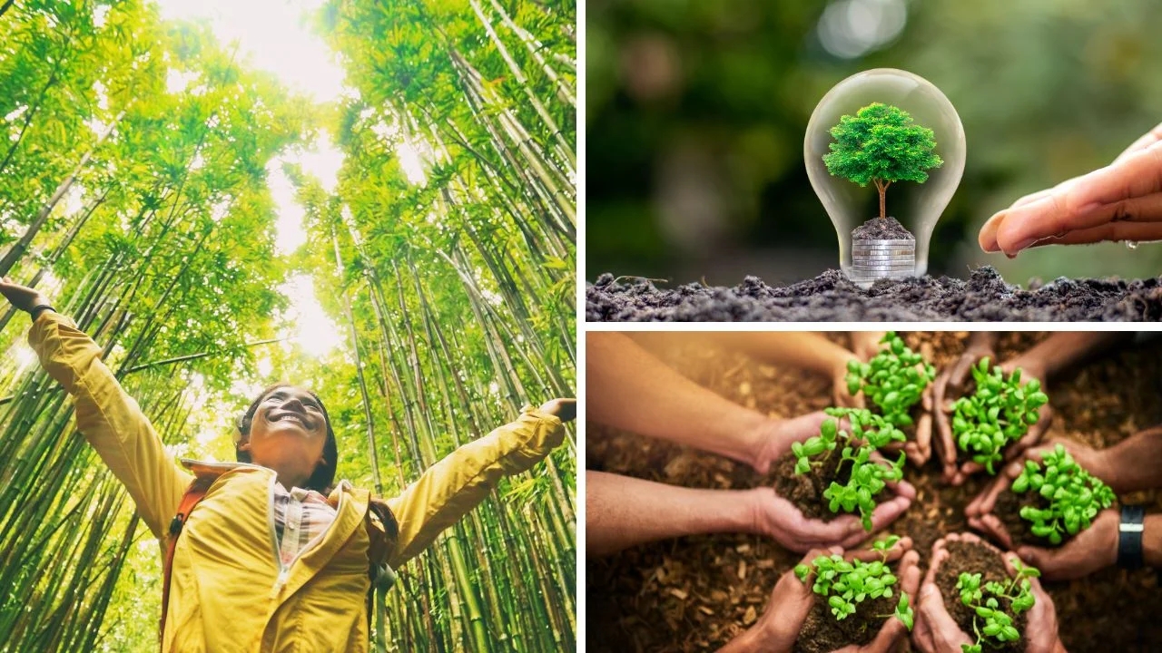 imagem enfatizando a sustentabilidade, o cuidado com o meio ambiente e a importância do esforço coletivo para proteger e preservar os recursos naturais