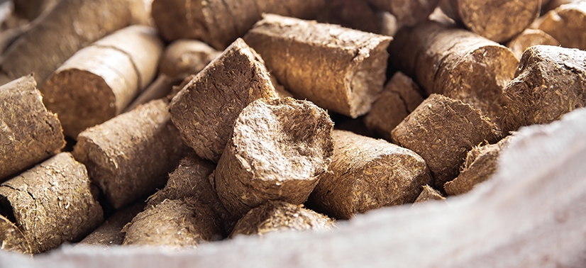 biomassa em materia prima