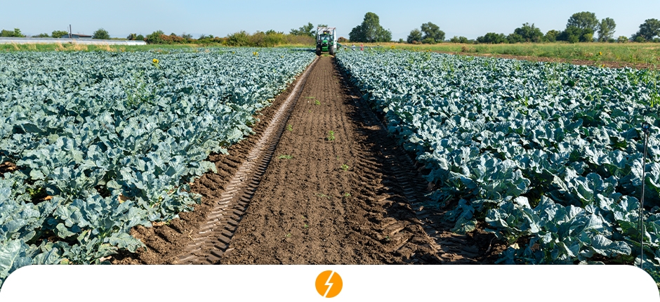 AGRONEGÓCIO APOSTA EM ENERGIA SOLAR PARA GANHAR COMPETITIVIDADE