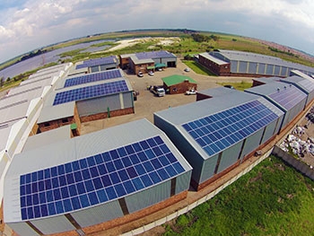 BANCO DO NORDESTE LANÇA FINANCIAMENTO PARA ENERGIA SOLAR – FNE SOL