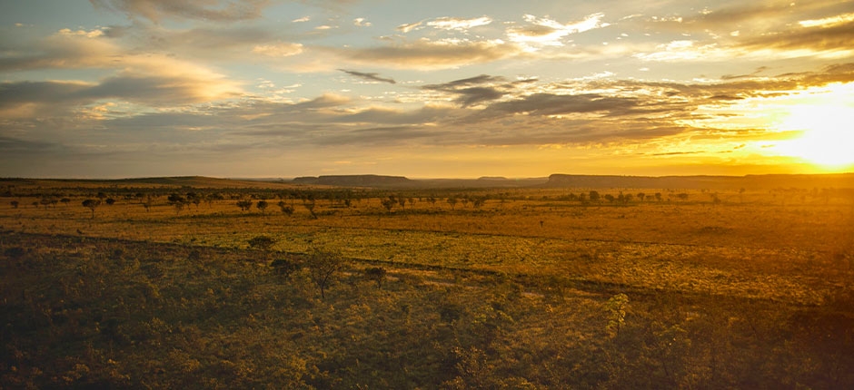 SCATEC-INICIA-CONSTRUCAO-DE-PROJETO-SOLAR-DE-531-MW-NO-RIO-GRANDE-DO-NORTE