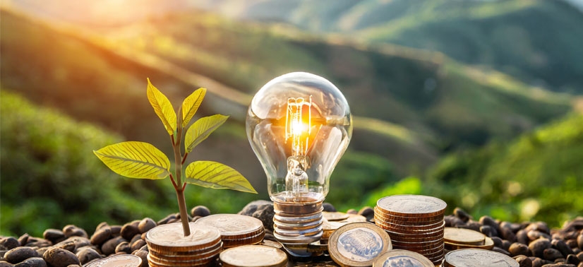 Moedas lâmpada e planta, representando a sustentabilidade trazida pelos créditos de carbono