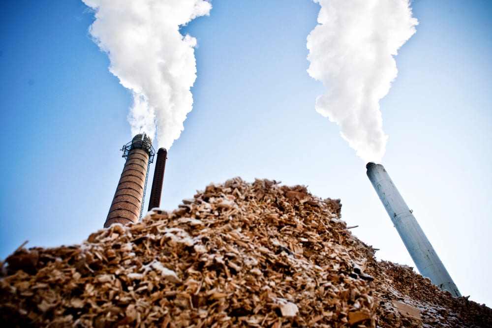 usina termoelétrica por biomassa queimando materiais orgânicos e transformando matéria orgânica como fonte renovável de energia