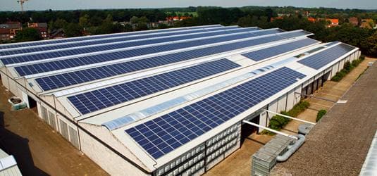AVICULTURA ENCONTRA NA ENERGIA SOLAR A SOLUÇÃO PARA ECONOMIA ENERGÉTICA NAS GRANJAS