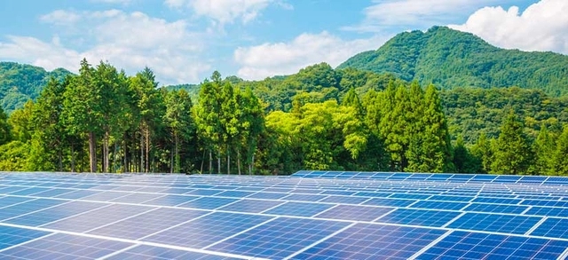 várias placas solares em um espaço de mata com árvores ao fundo dando a importância da energia limpa
