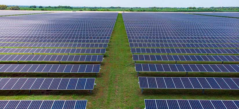 diversas placas de energia solar em uma usina solar