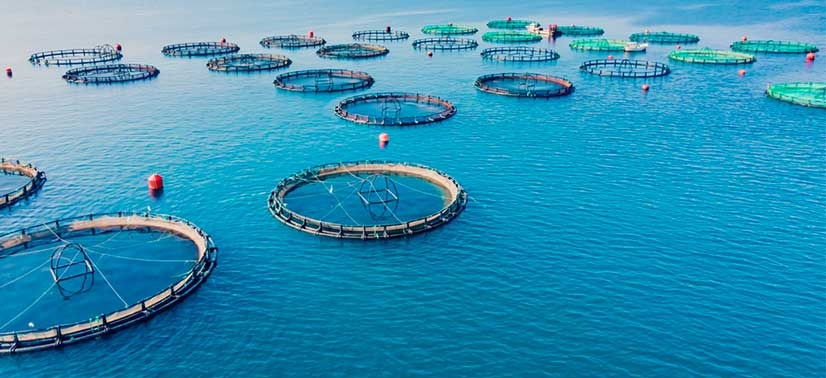 aquicultura-com-energia-solar